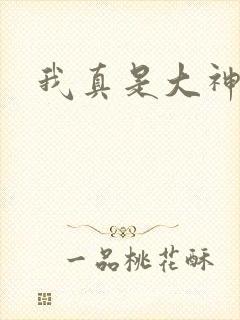 我真是大神医封面