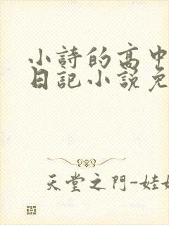小诗的高中成长日记小说免费阅读