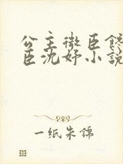 公主微臣馋了微臣沈妤小说封面