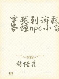 穿越到游戏里和各种npc小说