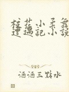 校花小柔舞蹈室遭遇记小说