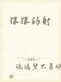 狠狠的射