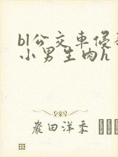 bl公交车侵犯小男生肉h