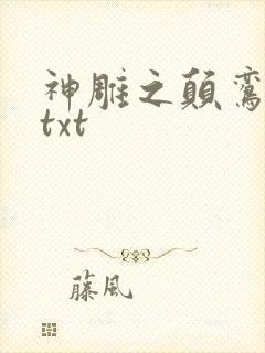 神雕之颠鸾倒凤txt封面