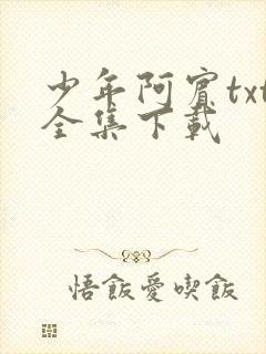 少年阿宾txt全集下载