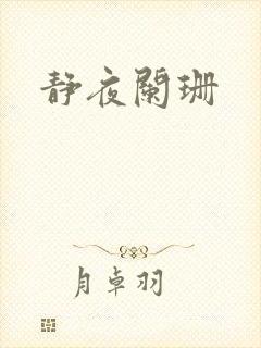 静夜阑珊