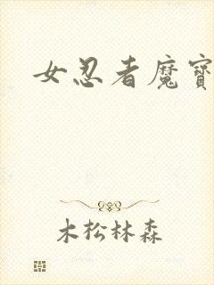 女忍者魔宝传