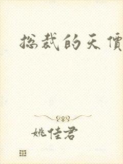 总裁的天价宠妻封面