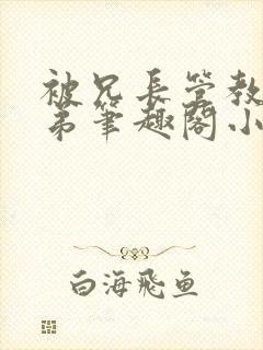 被兄长管教的弟弟笔趣阁小说