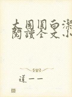 大团圆白洁免费阅读全文小说封面