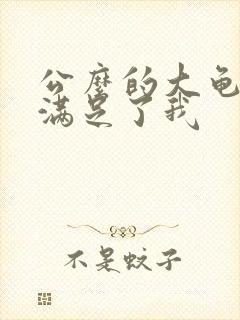 公么的大龟强大满足了我