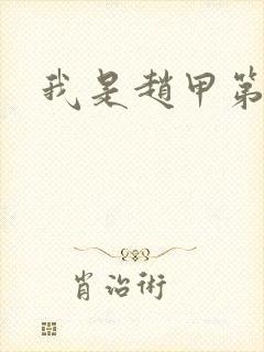 我是赵甲第小说封面