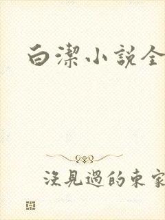 白洁小说全文
