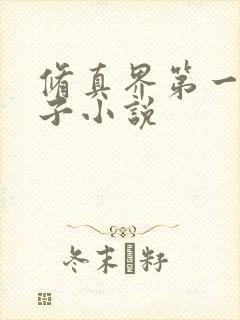 修真界第一病秧子小说