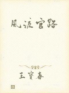风流官路封面