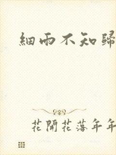 细雨不知归