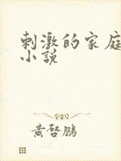 刺激的家庭乱仑小说