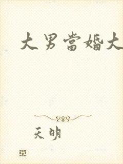 大男当婚大结局