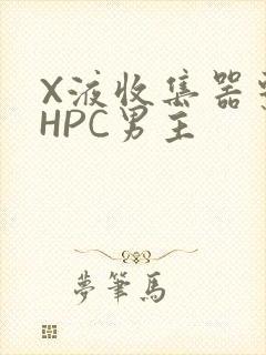 X液收集器系统HPC男主