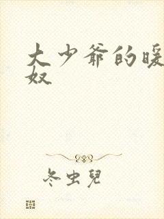 大少爷的暖床小奴