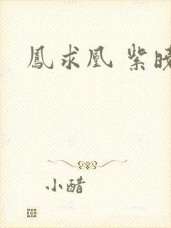 凤求凰 紫晓封面