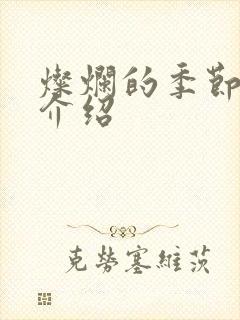 灿烂的季节剧情介绍