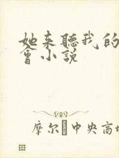 她来听我的演唱会小说