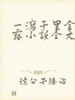 一泻千里金银花露小说全文免费阅读