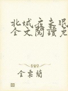 北城夜未眠小说全文阅读免费封面