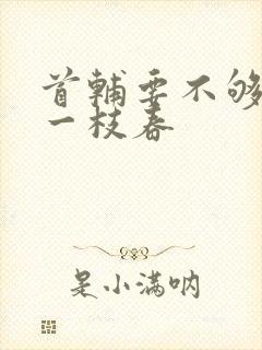 首辅要不够po一枝春