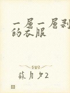 一层一层剥开你的衣服