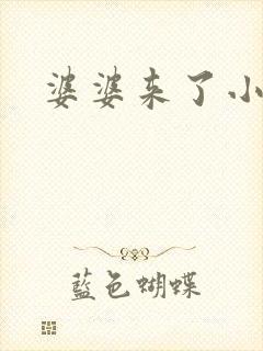 婆婆来了小说封面