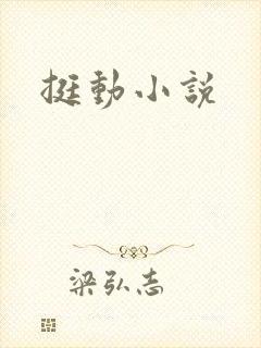 挺动小说