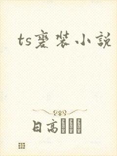 ts变装小说