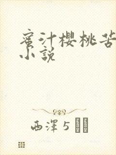 蜜汁樱桃苦咖啡小说