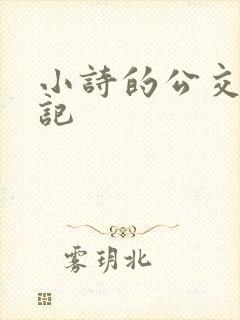 小诗的公交车日记