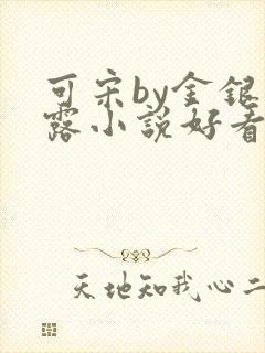 可宋by金银花露小说好看吗封面