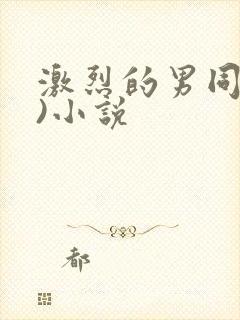 激烈的男同(h)小说