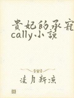 贵妃的承宠日常cally小说