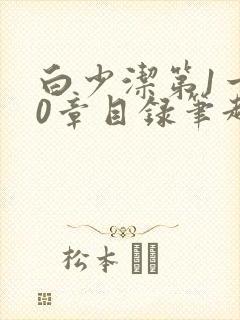 白少洁第1一40章目录笔趣阁封面