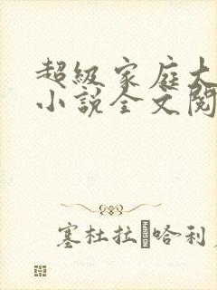 超级家庭大杂烩小说全文阅读