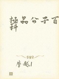 极品公子百度百科