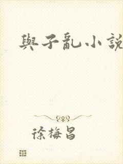 与子乱小说