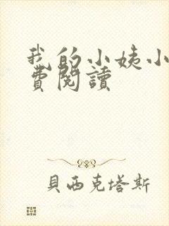 我的小姨小说免费阅读