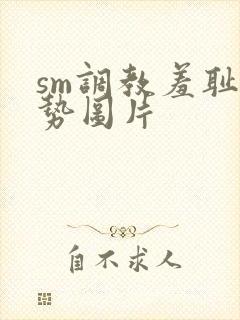 sm调教羞耻姿势图片