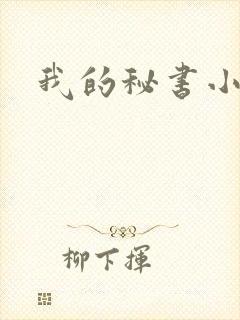 我的秘书小姐