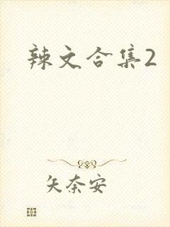 辣文合集2封面