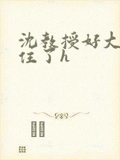 沈教授好大含不住了h