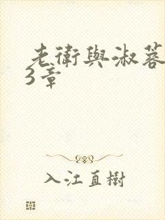 老卫与淑蓉第13章封面