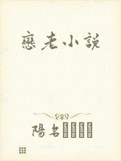 恋老小说